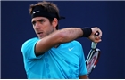 In-form Del Potro targets grass court glory